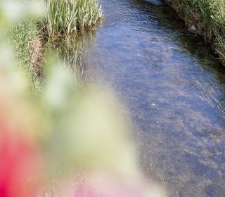  Maison � vendre 7 pi�ces 193 m�