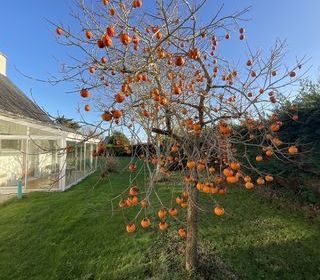  Maison � vendre 5 pi�ces 126 m�