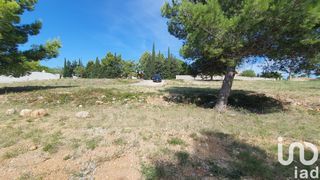  Terrain � vendre 1017 m�