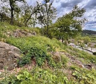  Terrain � vendre 785 m�