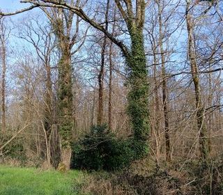  Terrain � vendre 24045 m�