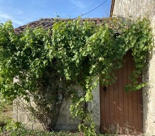  Maison � vendre 1 pi�ce 150 m�