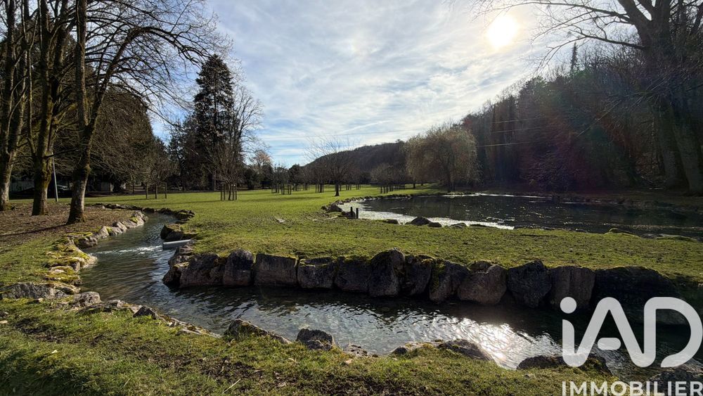 � vendre  Propri�t�/ch�teau Joinville (52300)