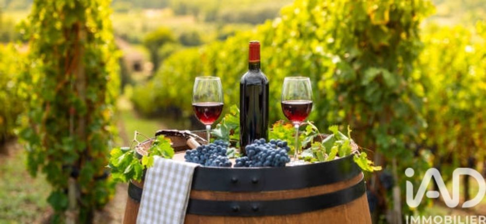 � vendre  Maison L'Isle-sur-la-Sorgue (84800)