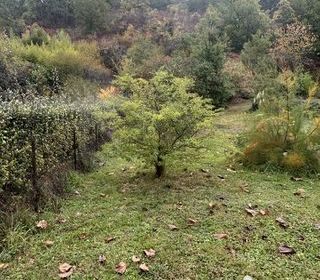  Terrain � vendre 1095 m�