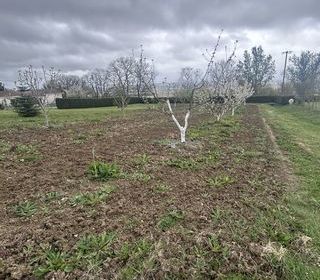  Terrain � vendre 3337 m�