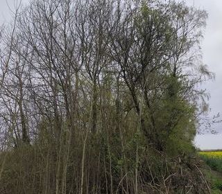  Terrain � vendre 7123 m�