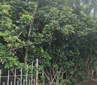  Terrain � vendre 754 m�