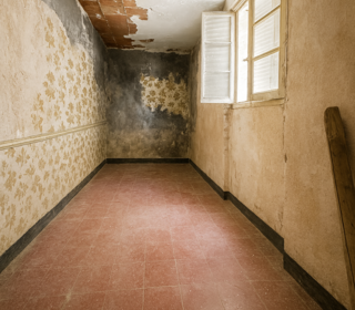  Maison � vendre 4 pi�ces 62 m�