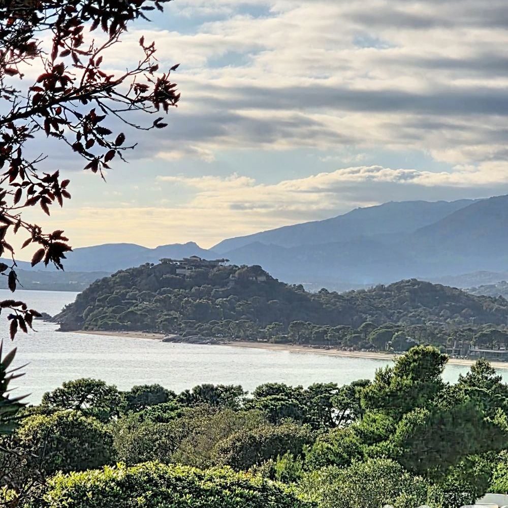 � vendre  Maison Lecci (20137)