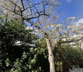  Maison � vendre 6 pi�ces 155 m�