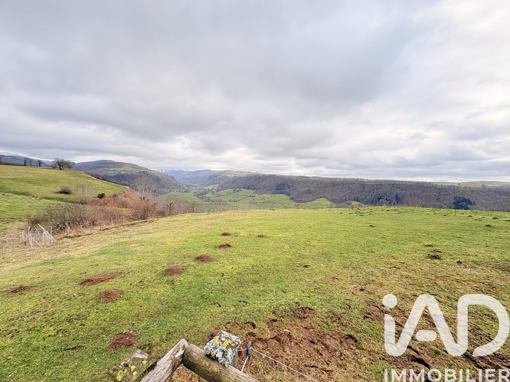 � vendre  Maison Saint-Martin-Valmeroux (15140)