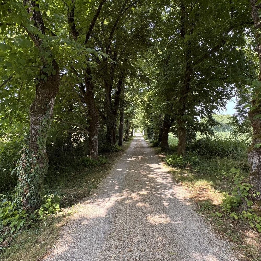 � vendre  Maison Anais (17540)