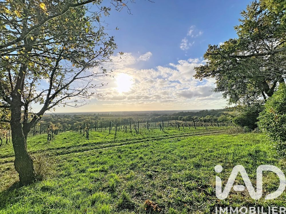 � vendre  Propri�t�/ch�teau Villenave-de-Rions (33550)