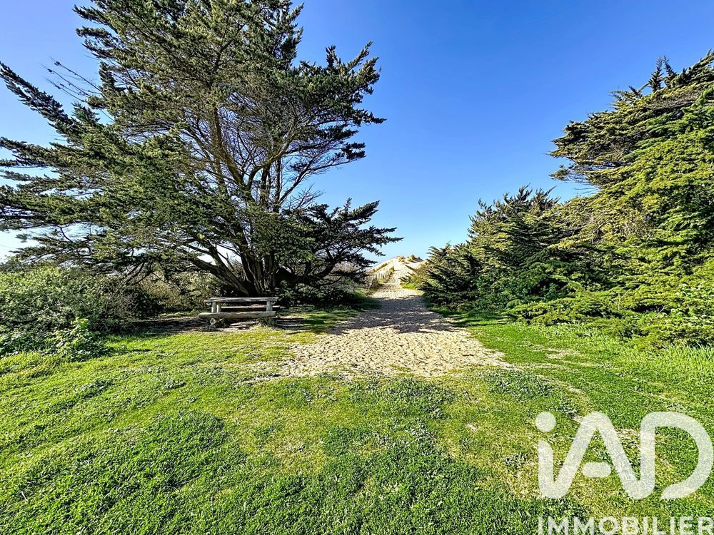 � vendre  Maison Ars-en-R� (17590)