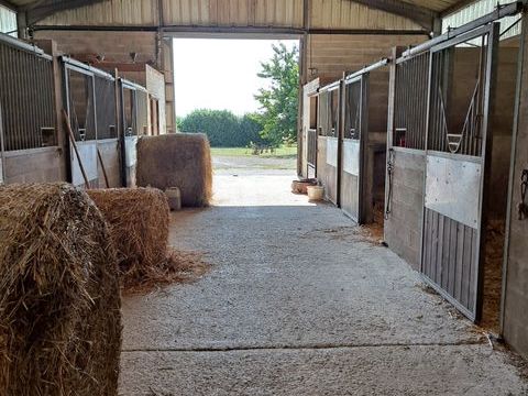   Vente Haras 21 pi�ces Maison - 15 + pi�ce(s) - 540 m�