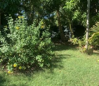  Maison � vendre 4 pi�ces 83 m�