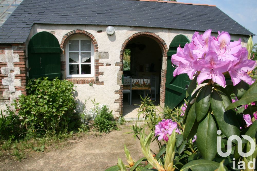 � vendre  Propri�t�/ch�teau Saint-Denis-la-Chevasse (85170)