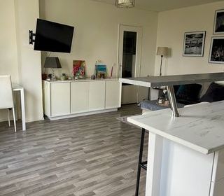  Appartement � vendre 2 pi�ces 53 m�