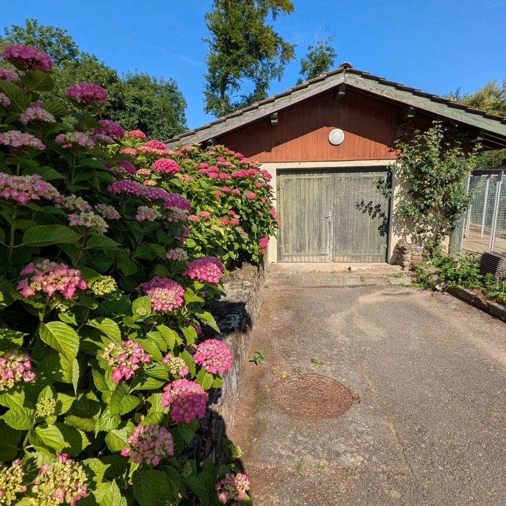 � vendre  Maison Bons-en-Chablais (74890)