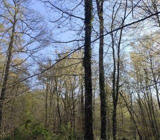  Terrain � vendre 48910 m�