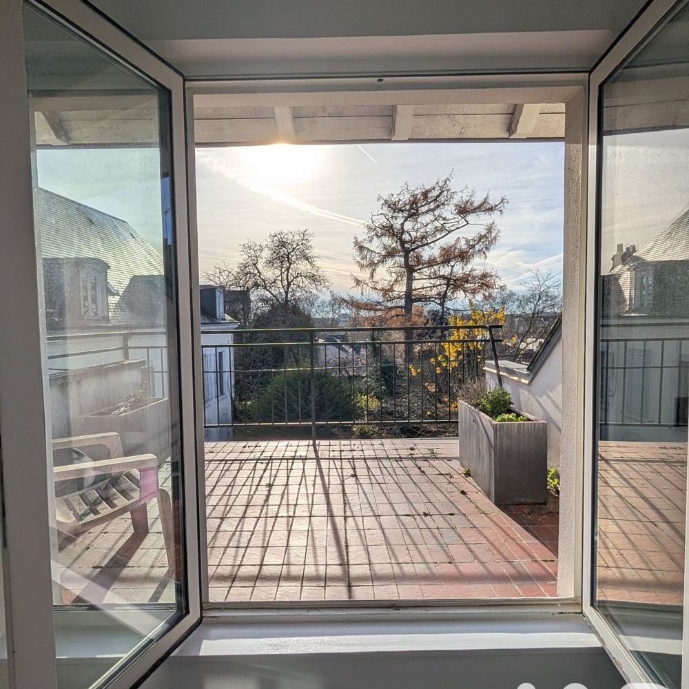 � vendre  Maison Orl�ans (45000)