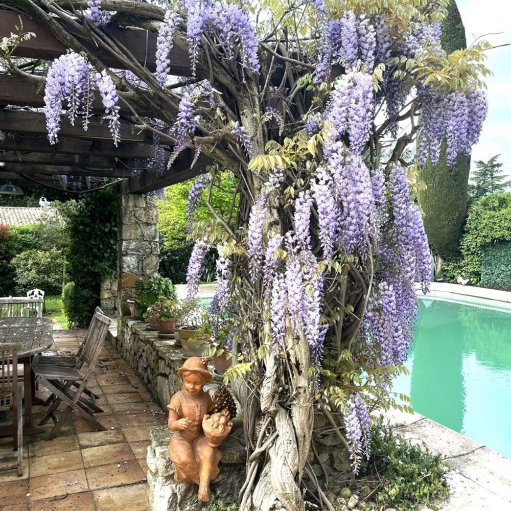 � vendre  Maison Mougins (06250)