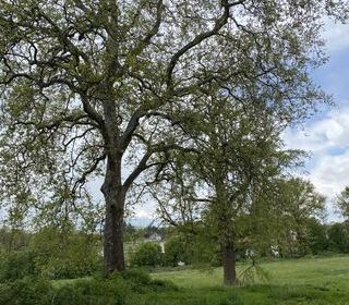  Maison � vendre 5 pi�ces 200 m�