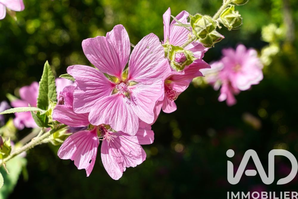 � vendre  Maison Bures-sur-Yvette (91440)