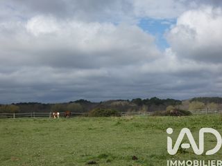  Maison � vendre 12 pi�ces 314 m�