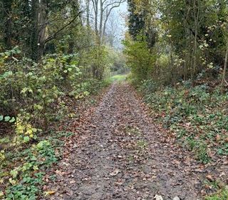  Terrain � vendre 732 m�