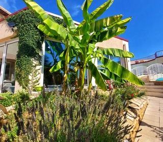  Maison � vendre 15 + pi�ces 1458 m�