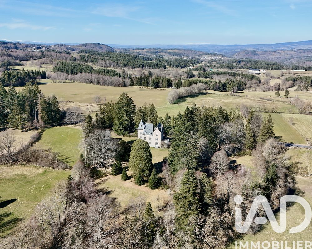 � vendre  Propri�t�/ch�teau Albaret-Sainte-Marie (48200)