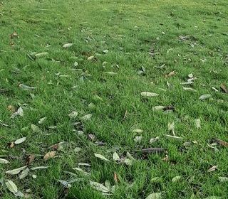  Terrain � vendre 912 m�