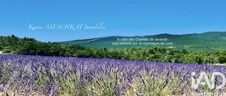  Maison � vendre 15 + pi�ces 360 m�