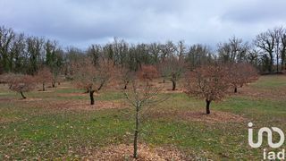  Terrain � vendre 11755 m�