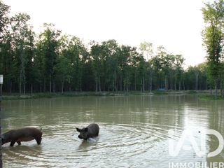  Terrain � vendre 200000 m�