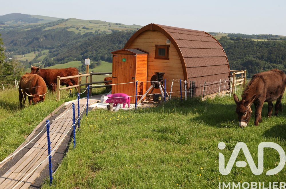 � vendre  Maison Saint-Martin-Valmeroux (15140)