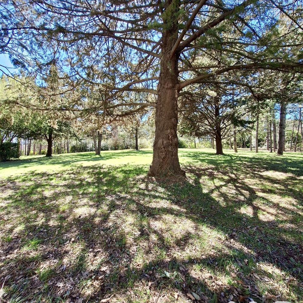 � vendre  Maison Monteils (30360)