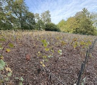  Terrain � vendre 749 m�