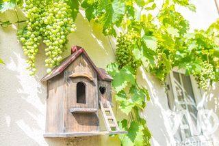  Appartement � vendre 3 pi�ces 58 m�