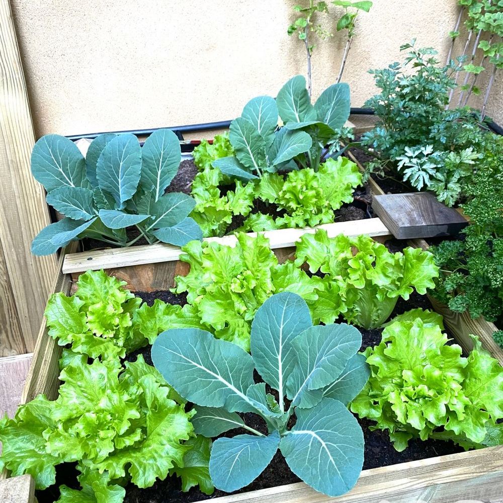 � vendre  Appartement Nantes (44000)