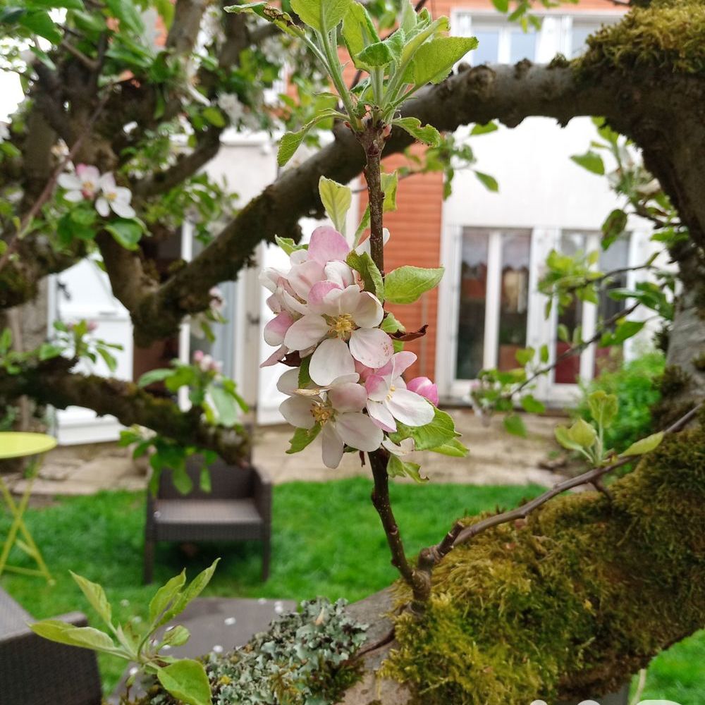 � vendre  Maison Voisins-le-Bretonneux (78960)