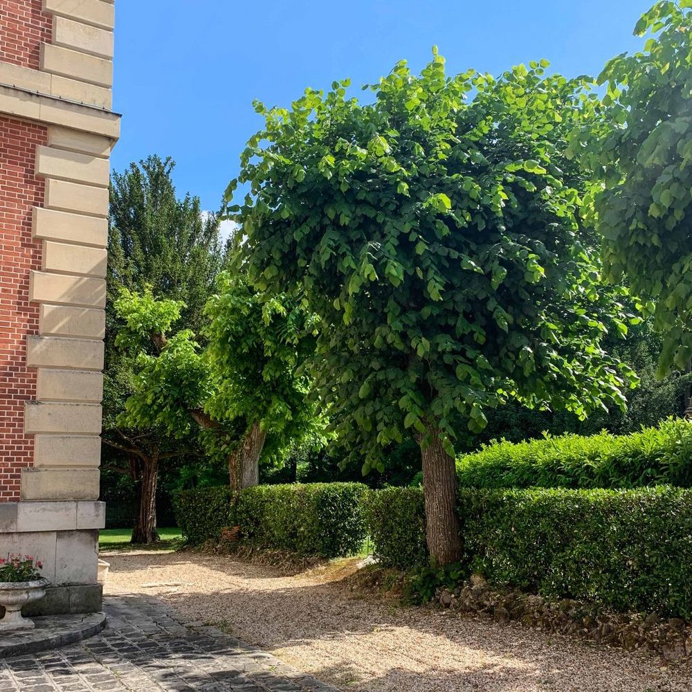 � vendre  Appartement Fontainebleau (77300)