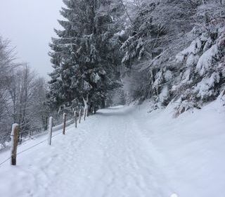  Terrain � vendre 2477 m�