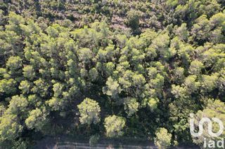  Terrain � vendre 22683 m�