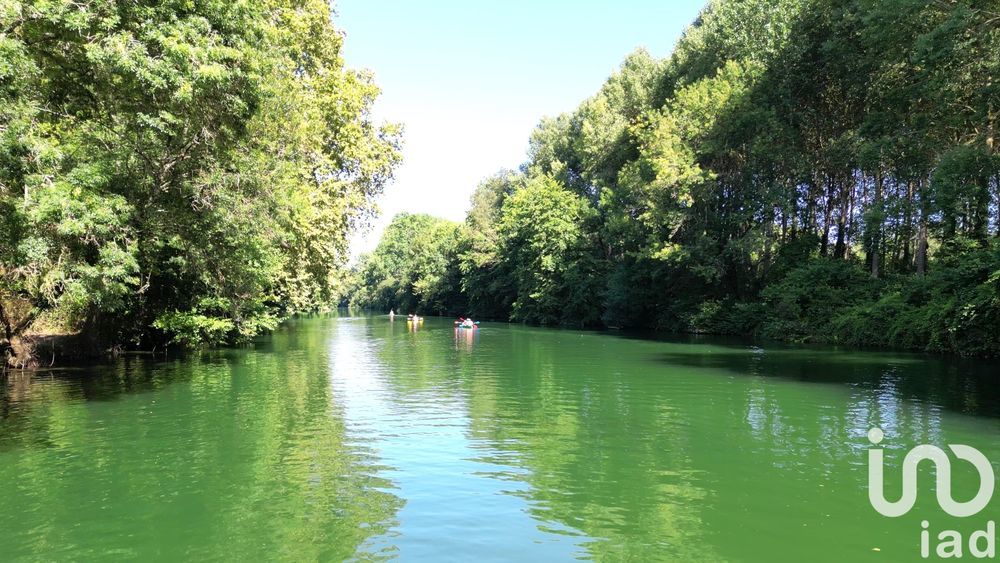 � vendre  Propri�t�/ch�teau Jarnac (16200)