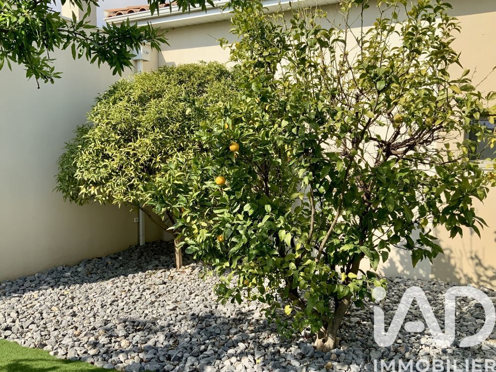 � vendre  Villa Narbonne (11100)