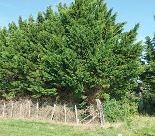  Terrain � vendre 3300 m�