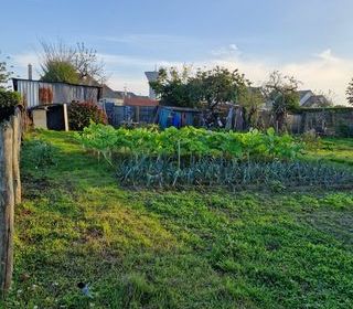  Terrain � vendre 1155 m�